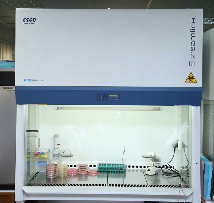 WhatsApp Image 2023-07-19 at 2.05.58 PM (3)